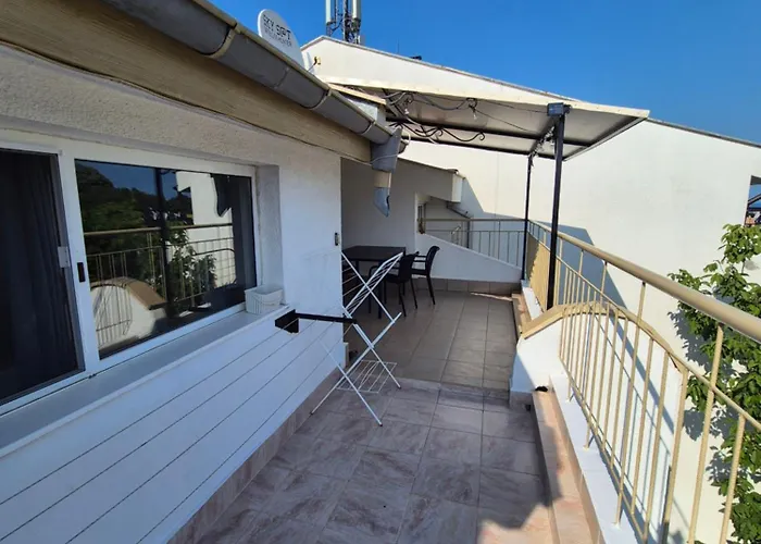 за гости роси * Sinemoretz