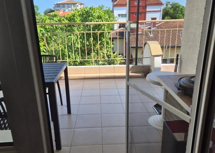 за гости роси Sinemoretz