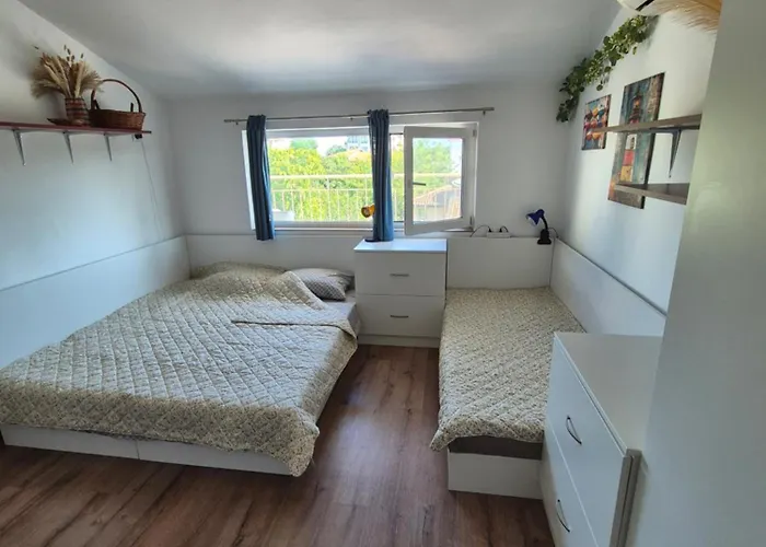 за гости роси *