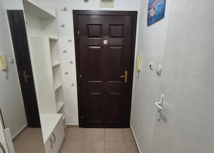 за гости роси * Sinemoretz