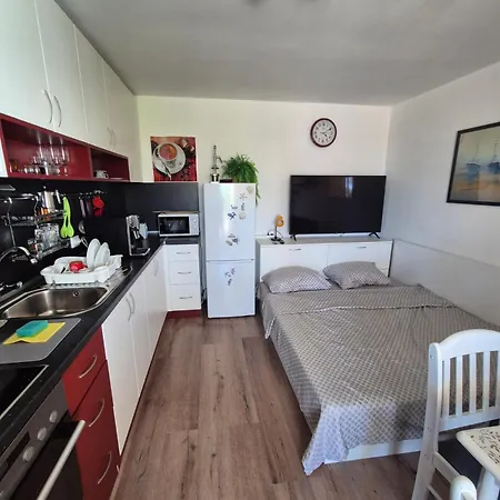 за гости роси *