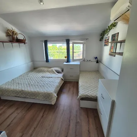 за гости роси *