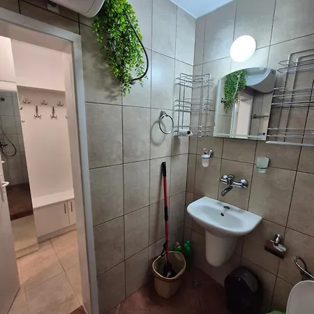 за гости роси *