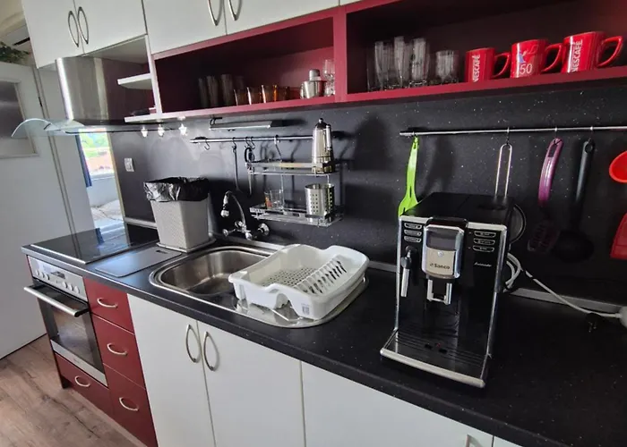 за гости роси דירה סינמורץ