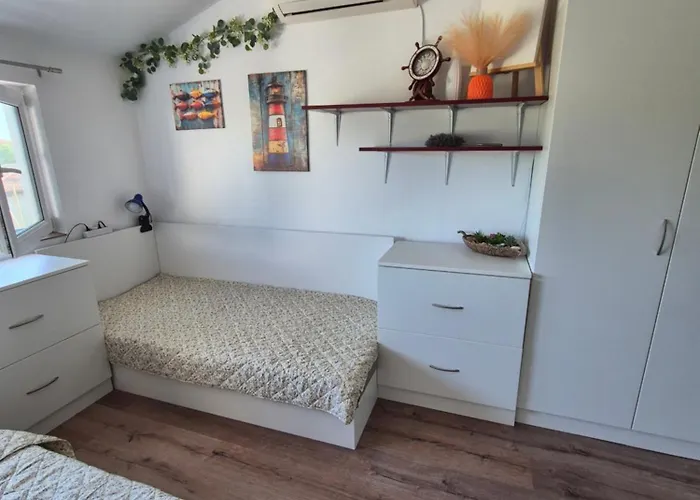 за гости роси סינמורץ